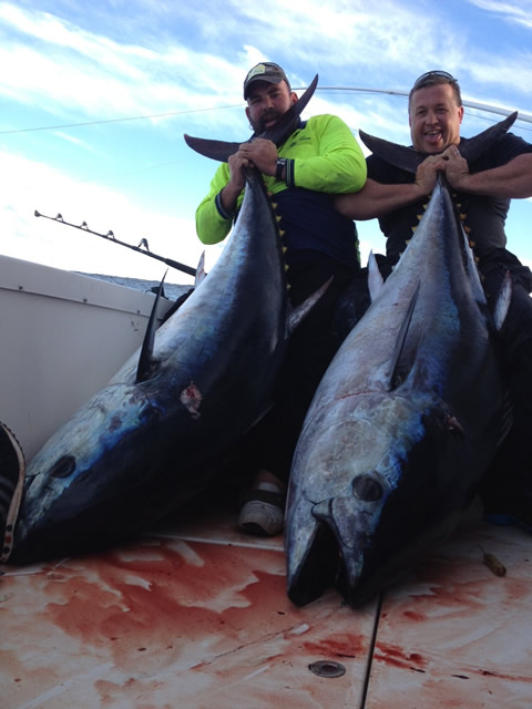 ANGLER: Dave Fenech & Eddie Johnson  SPECIES: Southern Bluefin Tuna's  WEIGHT: 110 Kg & 104 Kg LURE: JB Lures, Micro Dingo's
